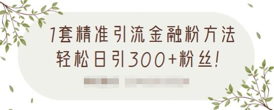 1套精准引流金融粉方法，轻松日引300+粉丝-小鸿资源库