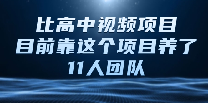 比高中视频项目，目前靠这个项目养了11人团队【视频课程】-小鸿资源库