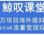 鲸叹号·海外TIKTOK训练营，百万项目海外版抖音tiktok流量变现玩法-小鸿资源库