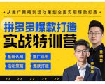 玺承云·拼多多爆款打造实战特训营，一套从入门到高手课程，让你快速拿捏拼多多-小鸿资源库
