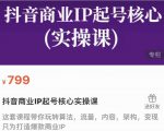 抖音商业IP起号核心实操课,带你玩转算法,流量,内容,架构,变现-小鸿资源库