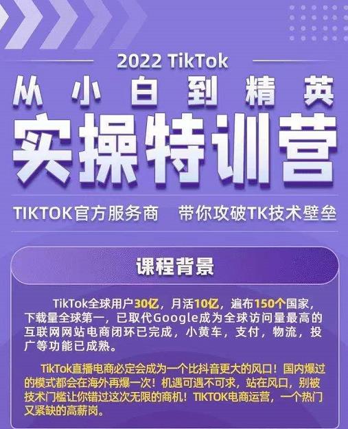 Seven漆·2022Tiktok从小白到精英实操特训营，带你掌握Tiktok账号运营-小鸿资源库