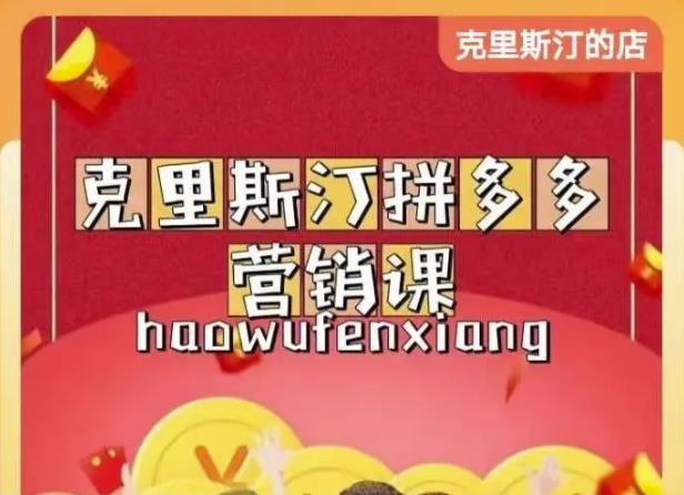 克里斯汀拼多多运营课，适合小白初涉平台，低成本入门-小鸿资源库