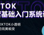 Tiktok实操进阶课程,体验从tiktok小透明到大佬的完美蜕变-小鸿资源库
