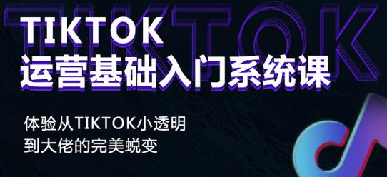Tiktok实操进阶课程，体验从tiktok小透明到大佬的完美蜕变-小鸿资源库