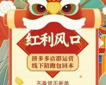 左右电商拼多多无货源店群玩法：从0~1，36节实战保姆教程，​极速起店必出单-小鸿资源库