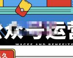 零零已久·从0-1运营公众号，零基础小白也能上手，系统性了解公众号运营-小鸿资源库