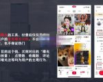 麦子互娱短视频带货·0基础做好物分享账号，无需出镜无需货源无需拍摄-小鸿资源库