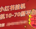 视频号小红书抖音挂机项目，小白无脑操作，按照要求来，单号每天几十米-小鸿资源库