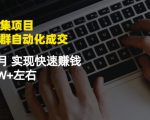 虚拟图集项目：矩阵站群自动化成交，3-5个月实现快速赚钱月入1W+左右-小鸿资源库