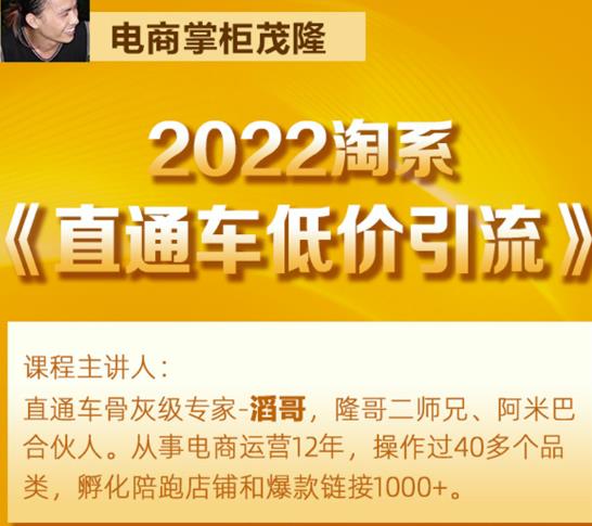 茂隆2022直通车低价引流玩法，教大家如何低投入高回报的直通车玩法-小鸿资源库