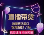 【及至专享】DY赋能系统星课程,流量万亿风口,你准备好了吗-小鸿资源库