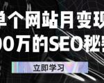 单个网站月变现100万的SEO秘密，百分百做出赚钱站点-小鸿资源库