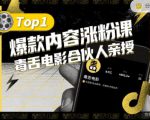 【毒舌电影合伙人亲授】抖音爆款内容涨粉课，5000万抖音大号首次披露涨粉机密-小鸿资源库