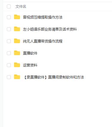 左小姐-直播带货俱乐部十三行、无人直播，全套教程附：工具、文档、话术资料-小鸿资源库