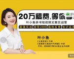 叶小鱼21天短视频文案拆书营，学完轻松搞定各类书单短视频文案-小鸿资源库
