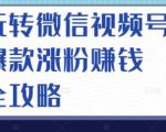 玩转微信视频号爆款涨粉赚钱全攻略，让你快速抓住流量风口，收获红利财富-小鸿资源库