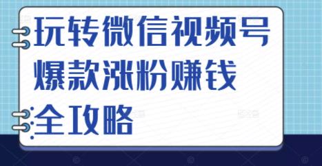 玩转微信视频号爆款涨粉赚钱全攻略，让你快速抓住流量风口，收获红利财富-小鸿资源库