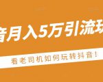 老古董·抖音月入5万引流玩法,看看老司机如何玩转抖音(附赠:抖音另类引流思路)-小鸿资源库