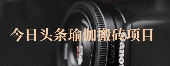 猎人社区·今日头条瑜伽搬砖项目，单号一天几十收入，可以批量操作！-小鸿资源库