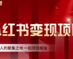 渣圈学苑·小红书虚拟资源变现项目，一起捞钱掘金价值1099元-小鸿资源库