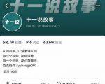 十一说故事·故事性中视频，观众快速共鸣从而快速变现的中视频玩法-小鸿资源库