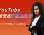 外国人眼中的YouTube该怎么玩？Elisa·YouTube运营推广实战技巧-小鸿资源库
