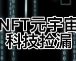 【元本空间sky七级空间唯一ibox幻藏等】NTF捡漏合集【抢购脚本+教程】-小鸿资源库