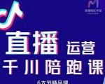 美尊-抖音直播运营千川系统课：直播​运营规划、起号、主播培养、千川投放等-小鸿资源库