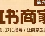 贾真-小红书商家营第6期商家版,21天带货陪跑课,让商家丢掉付流量-小鸿资源库