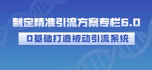 制定精准引流方案专栏6.0，0基础打造被动引流系统-小鸿资源库