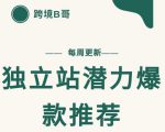 【跨境B哥】独立站潜力爆款选品推荐，测款出单率高达百分之80-小鸿资源库