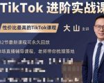 大山老师TikTok进阶实战课：账号详解，流量运营，实战变现，助力你成功出海-小鸿资源库