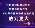 张sir账号流量增长课，告别海王流量，让你的流量更精准-小鸿资源库