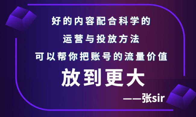张sir账号流量增长课,告别海王流量,让你的流量更精准-小鸿资源库
