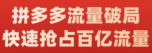 阿杰·拼多多流量破局:如何打黑标,爆款的思路,拼多多流量框架,快速抢占百亿流量-小鸿资源库