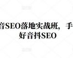 王通·抖音SEO落地实战班,手手带你做好音抖SEO-小鸿资源库