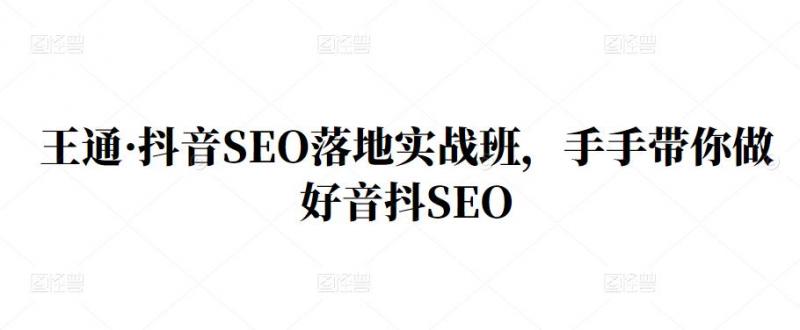 王通·抖音SEO落地实战班,手手带你做好音抖SEO-小鸿资源库