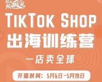 疯人院:TikTok Shop出海训练营（一店卖全球)，出海抢占全球新流量-小鸿资源库