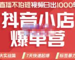 推易电商·2022年抖音小店爆单营，不直播、不拍短视频、日出1000单，暴力玩法-小鸿资源库