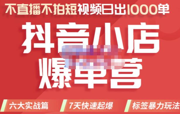 推易电商·2022年抖音小店爆单营，不直播、不拍短视频、日出1000单，暴力玩法-小鸿资源库
