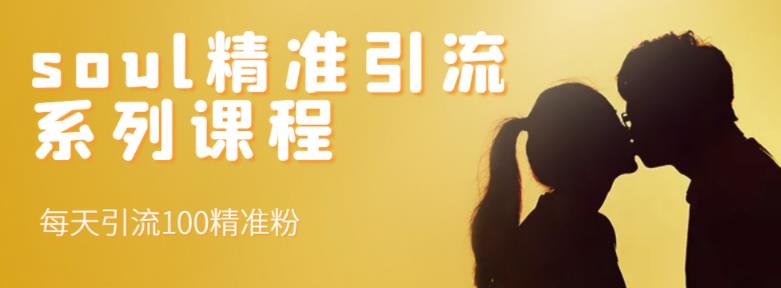 soul精准引流系列课程，每天引流100精准粉-小鸿资源库