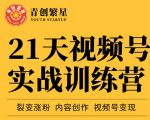 张萌21天视频号实战训练营，裂变涨粉、内容创作、视频号变现 价值298元-小鸿资源库