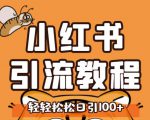 小红书运营引流全系列课程，每天引流100精准粉-小鸿资源库