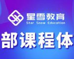 星雪教育淘系高级班，更全的运营提升方案，零基础由浅入深，店铺最新玩法-小鸿资源库