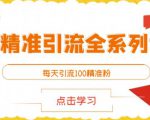 闲鱼精准引流全系列课程，每天引流100精准粉【视频课程】-小鸿资源库