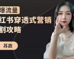 苏歆:小红书穿透式营销收割攻略,引爆流量,助你玩转小红书-小鸿资源库