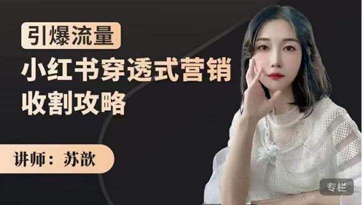 苏歆：小红书穿透式营销收割攻略，引爆流量，助你玩转小红书-小鸿资源库