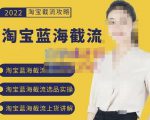 2022淘宝蓝海截流攻略,淘宝蓝海截流选品上货实操讲解-小鸿资源库