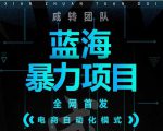 引流哥蓝海暴力躺赚项目：无需发圈无需引流无需售后，每单赚50-500（教程+线报群)-小鸿资源库